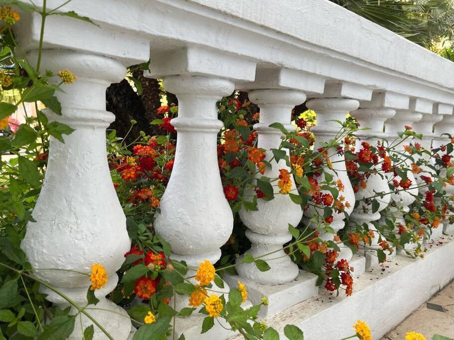 Beautiful Garden Apartment Steps From The Beach 멍똥 외부 사진